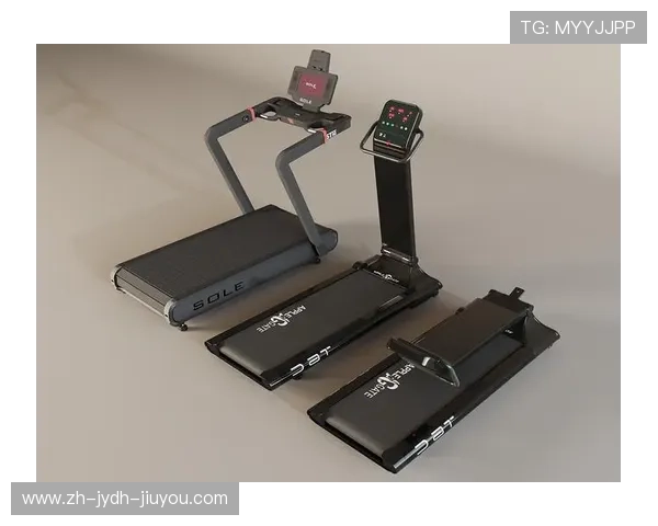 阳锐健身器材官网商用级跑步机年度榜单